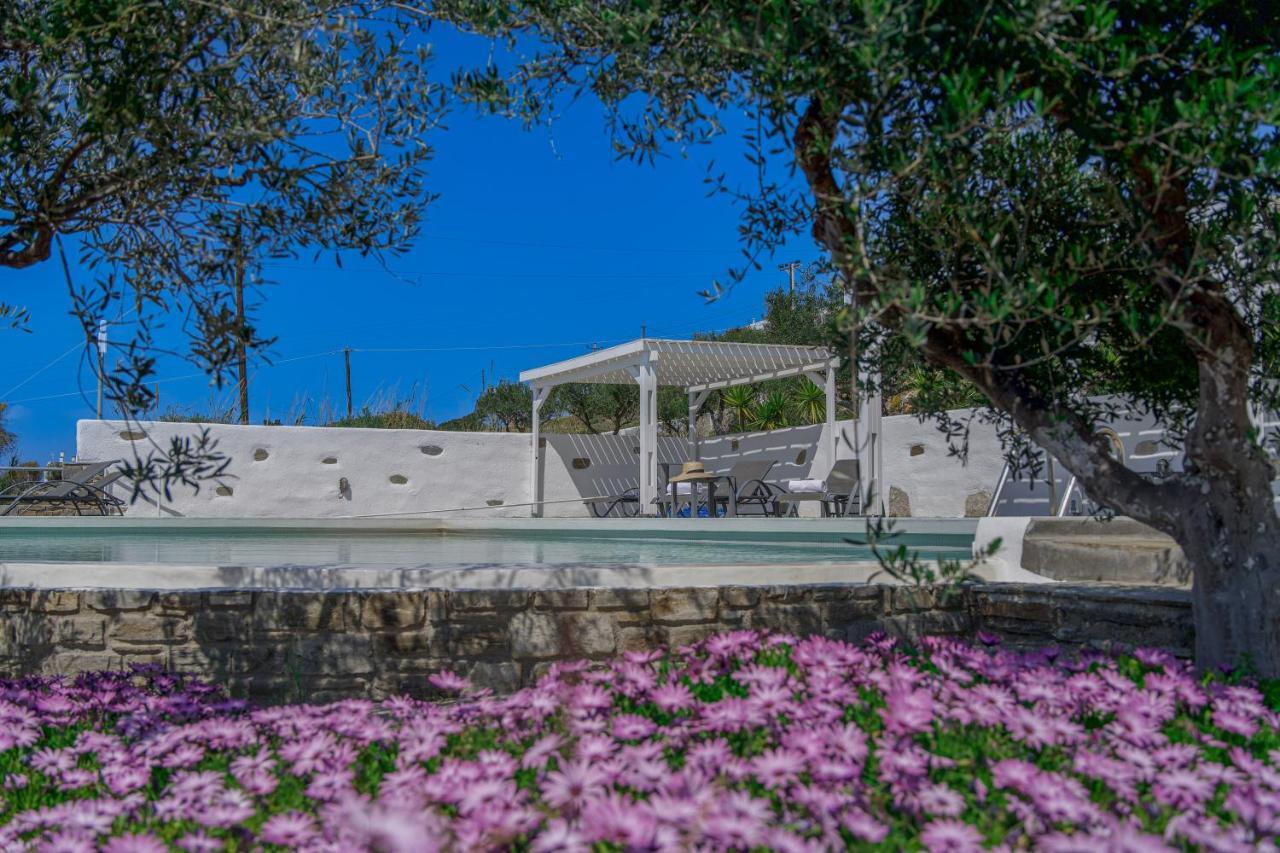 Anthemion Paros - Villas & Suites Айя-Ирини-Парос Экстерьер фото